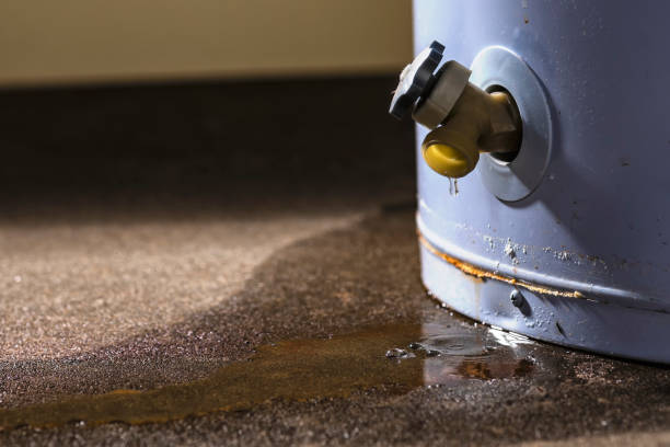 Best Ceiling water damage repair  in Springerville, AZ