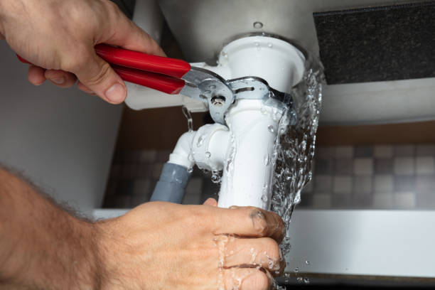 Best Water damage restoration near me  in Springerville, AZ