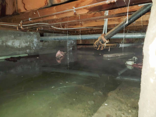 Best 24-hour water damage restoration  in Springerville, AZ