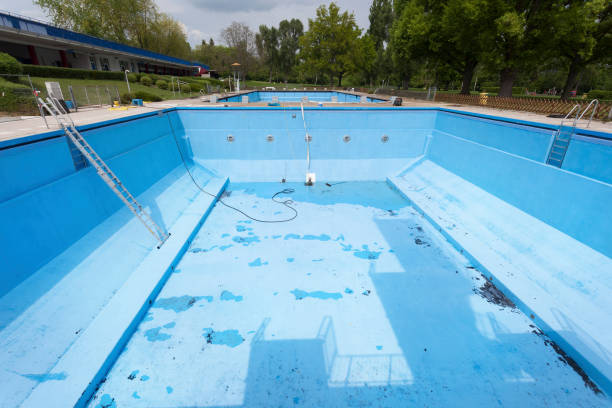 Best Water damage restoration cost  in Springerville, AZ