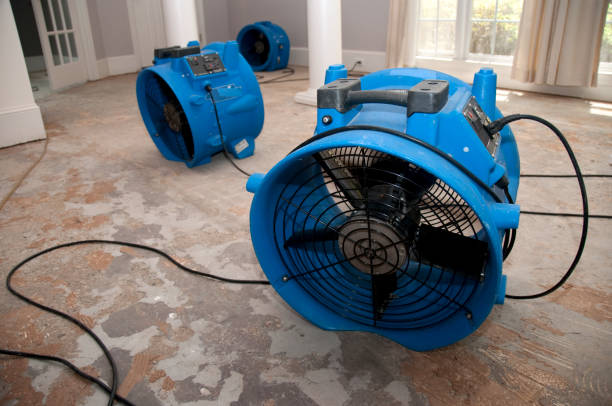 Water damage restoration process in AZ