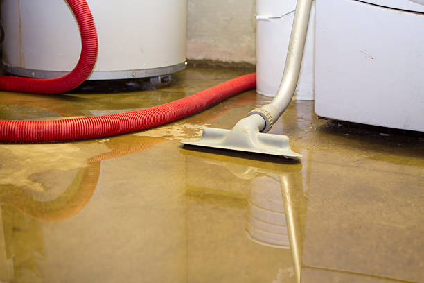 Best 24/7 water damage repair  in Springerville, AZ