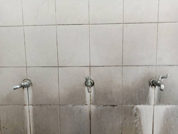 Best Residential water damage restoration  in Springerville, AZ